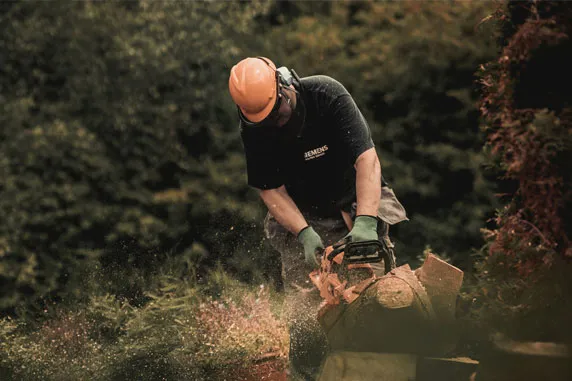 A person sawing wood with a chain saw