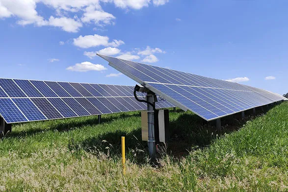 Rows of solar panels in a grass field from a lower perspective